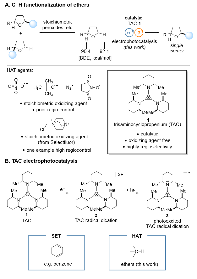 Electrophotocatalysis  with a trisaminocyclopropenium radical dication (a) HAT process. (b) SET  process