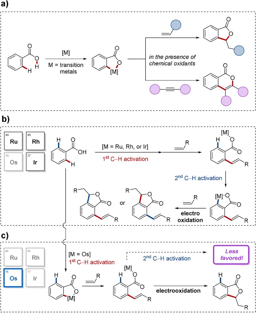 Transition-metal-catalyzed  C-H annulations. a) General C-H annulations of benzoic acids. b) Mode of C-H  activations by ruthenium, rhodium, and iridium catalysts. c) Chemoselective  osmaelectrocatalyzed C-H activation.