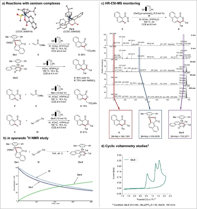 Mechanistic understanding  of osmaelectrocatalysis.