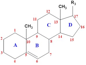 Steroids Synthesis