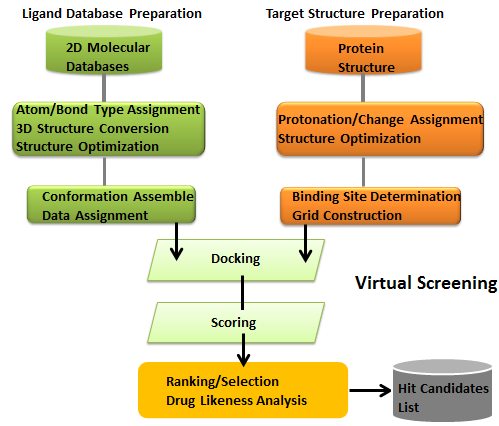 Virtual Screening